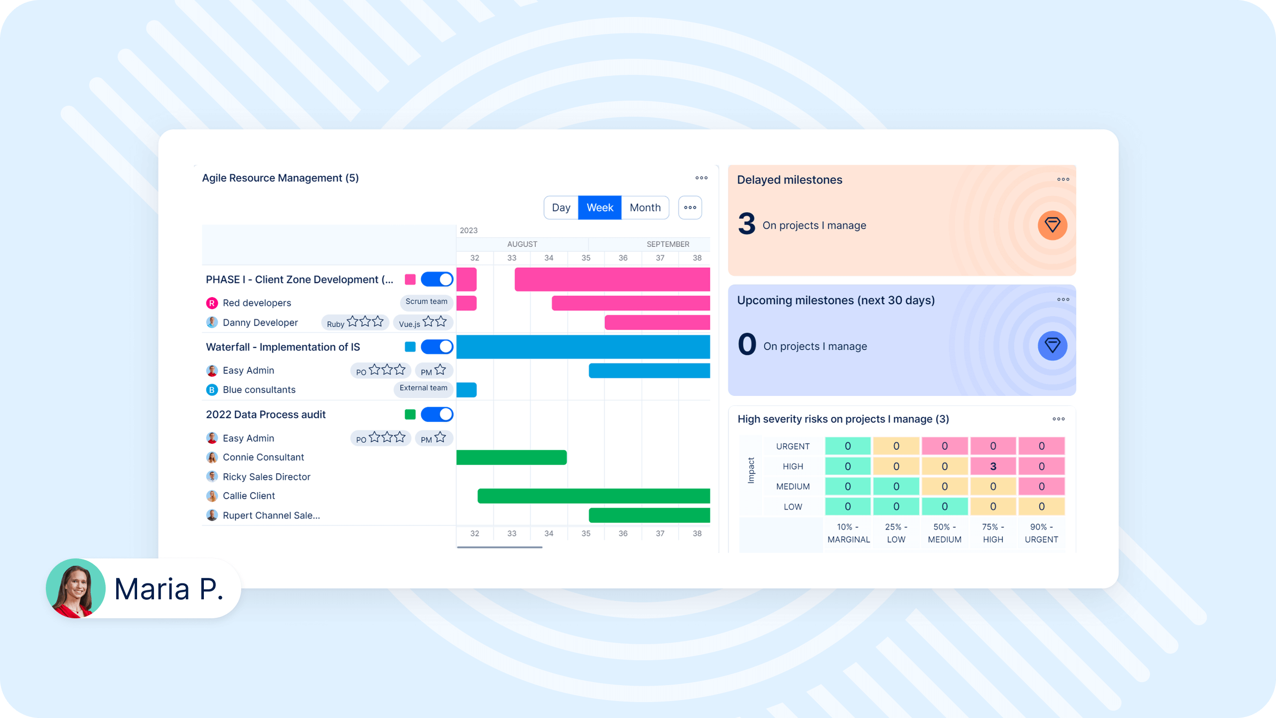 Project management dashboard in Easy Project software