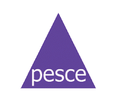Pesce Pty Ltd - Kolay Proje